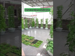 गार्डन इंडोर फार्मिंग पेटल हाइड्रोपोनिक ग्रो टावर्स
