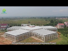 बड़ी सुरंग वाणिज्यिक ग्लास ग्रीनहाउस परियोजना