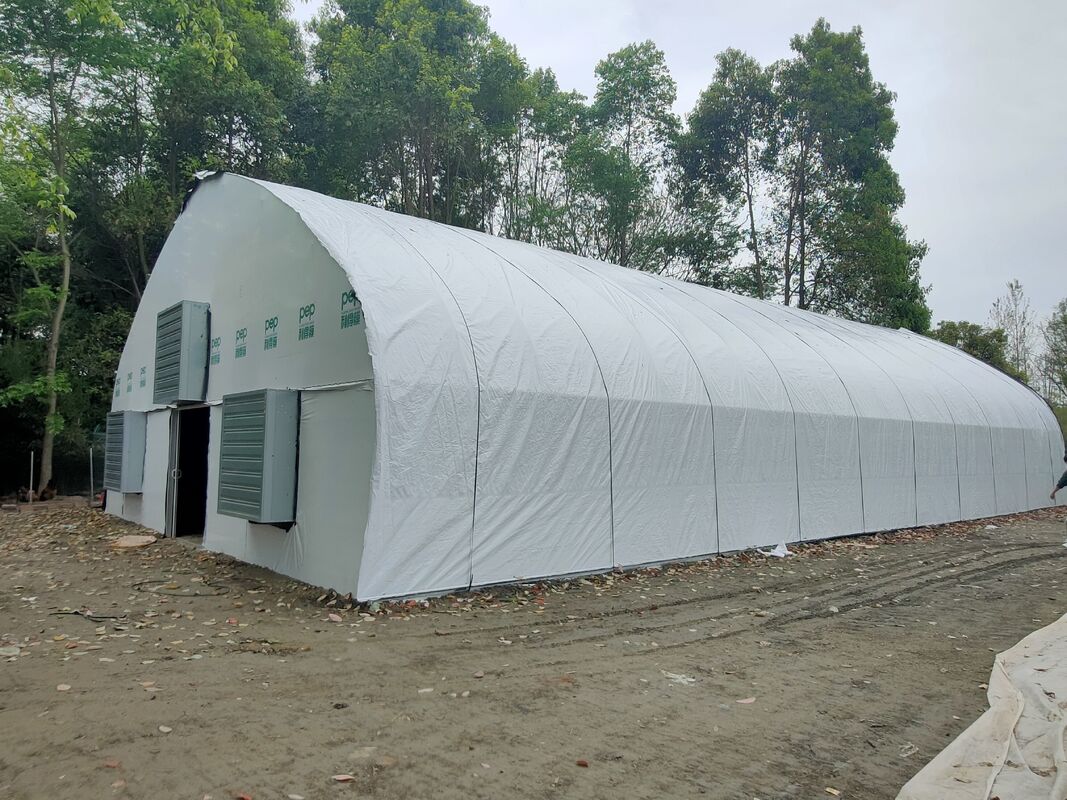 कारखाने की कीमत कस्टम प्लास्टिक फिल्म सुरंग टमाटर बढ़ोतरी तम्बू कृषि के लिए ग्रीनहाउस