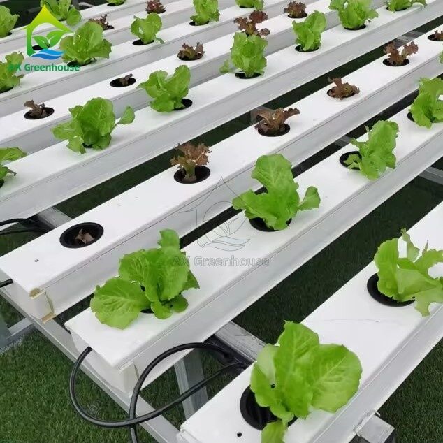 China Factory Super Farm Hydroponic NFT Growing System NFT PVC Channel Horizontal NFT Soilless Leafy VegetableCultivation System